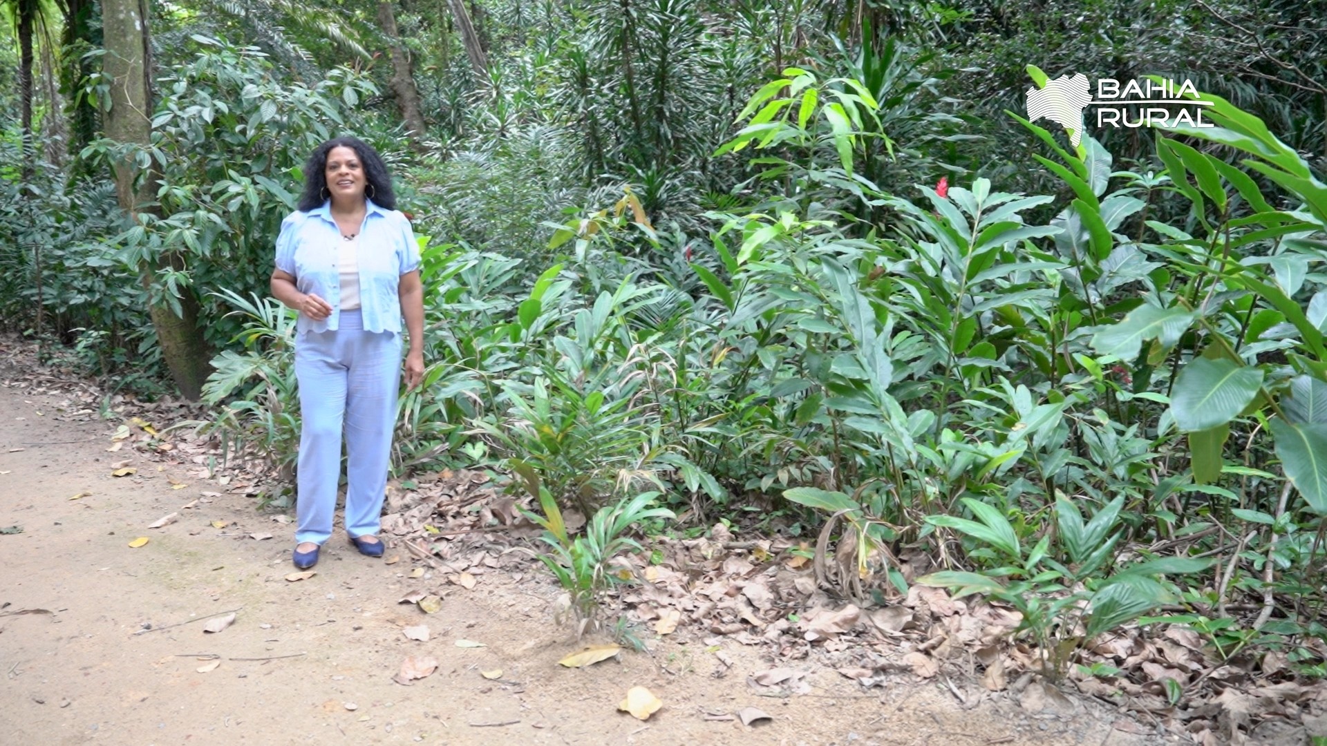Vídeos do g1 e TV Bahia - domingo, 27 de setembro de 2026