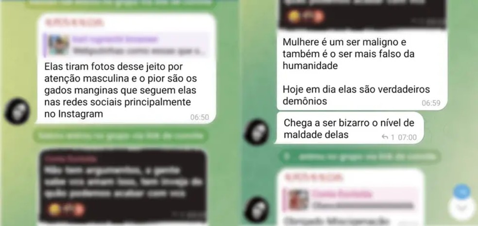 Usuário do grupo no Telegram discursa contra mulheres e o que chama de 'manginas' (junção das palavras 'man', homem em inglês, e vagina), termo empregado na 'machosfera' para homens que 'idolatram' mulheres — Foto: REPRODUÇÃO