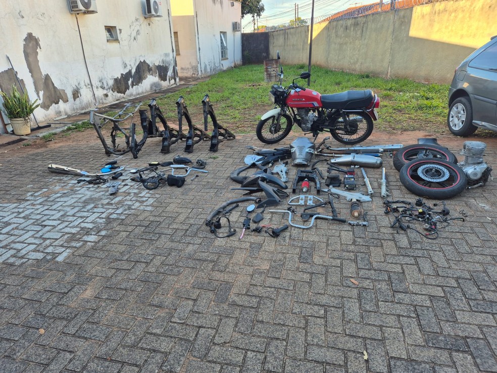 Operação mira furtos de motocicletas e apreende veículo adulterado, drogas e peças no noroeste paulista — Foto: Polícia Civil/Divulgação