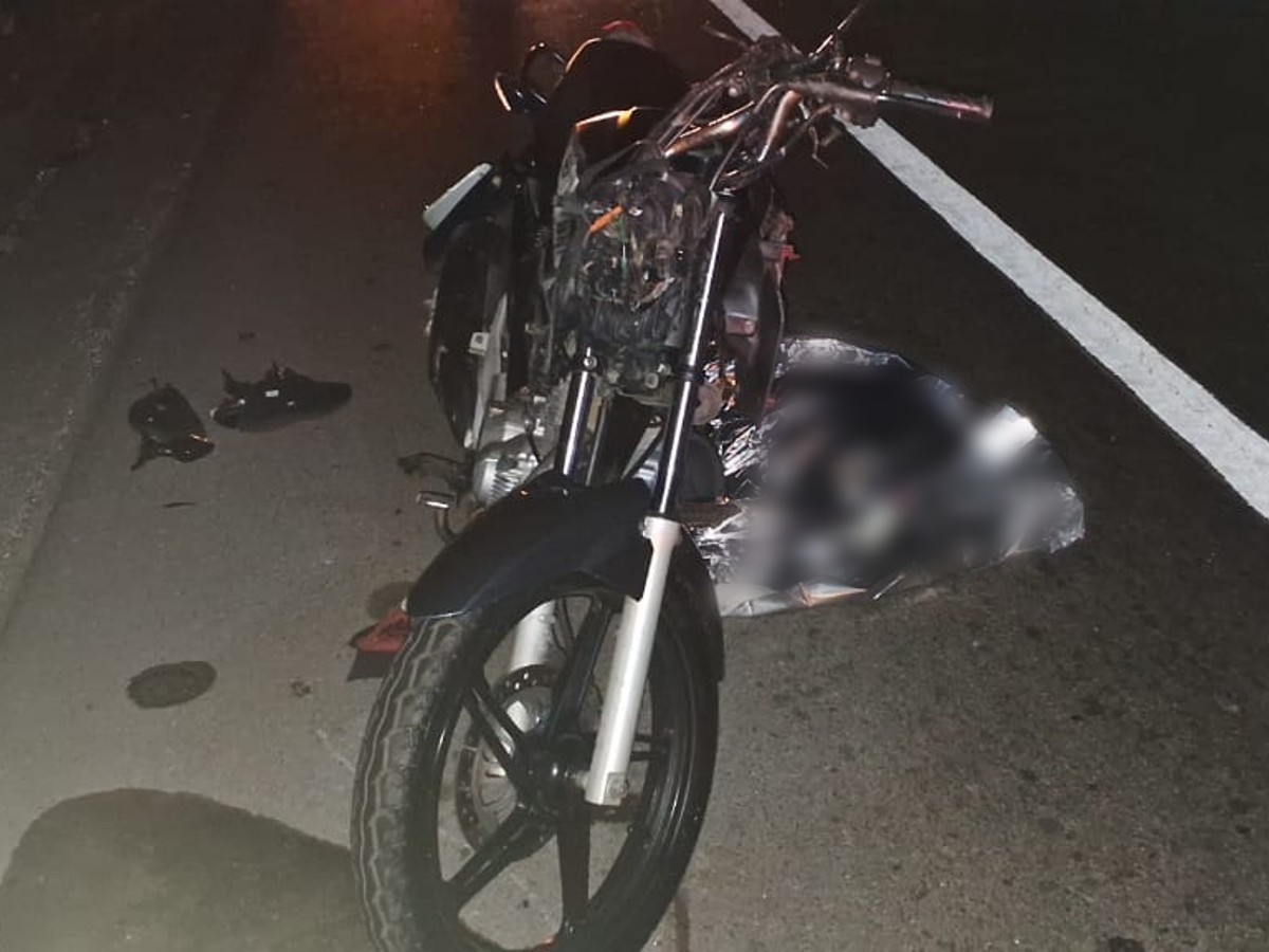 Motociclista morre ao bater em vaca na BR-262, em Pará de Minas