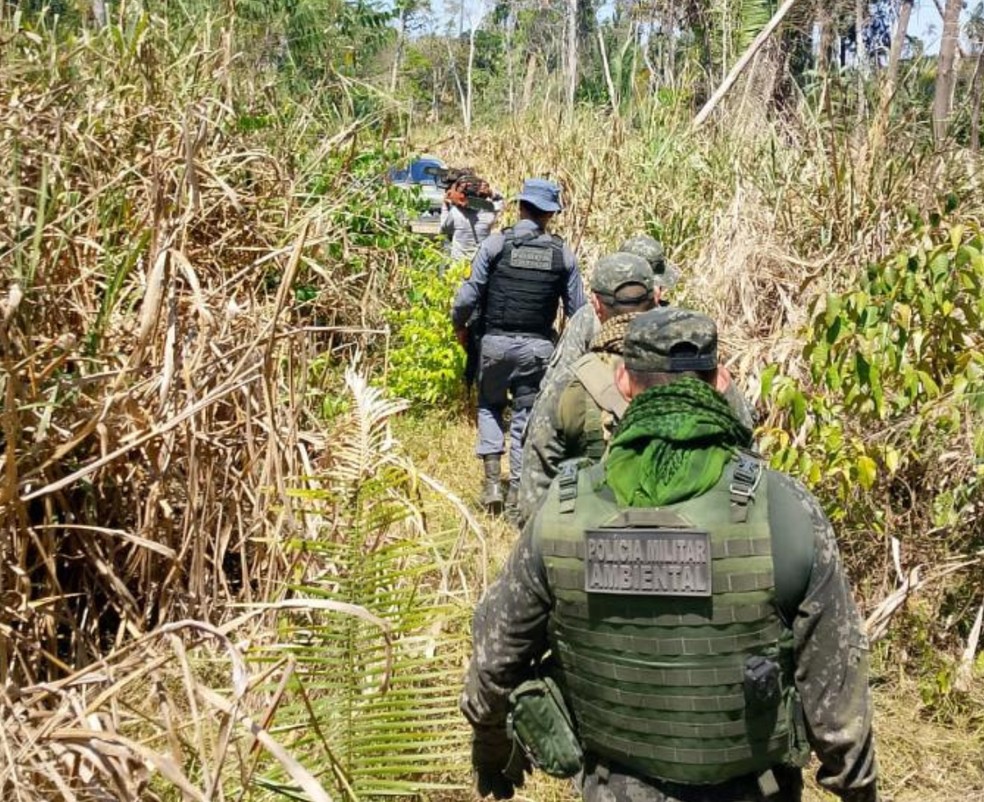 Ação contra desmatamento em Colniza (MT) — Foto: PMMT