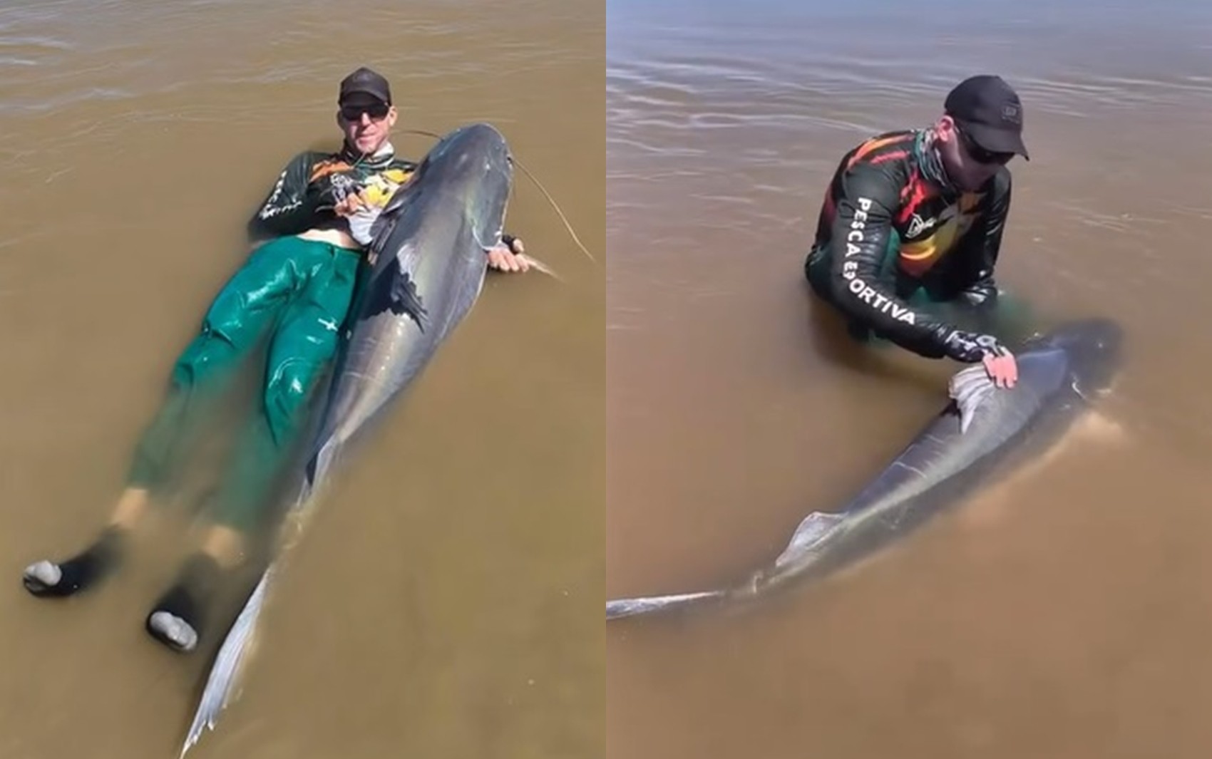 Peixes gigantes que não podem ser consumidos: pescador captura piraíba de quase 2 metros, no Rio Araguaia