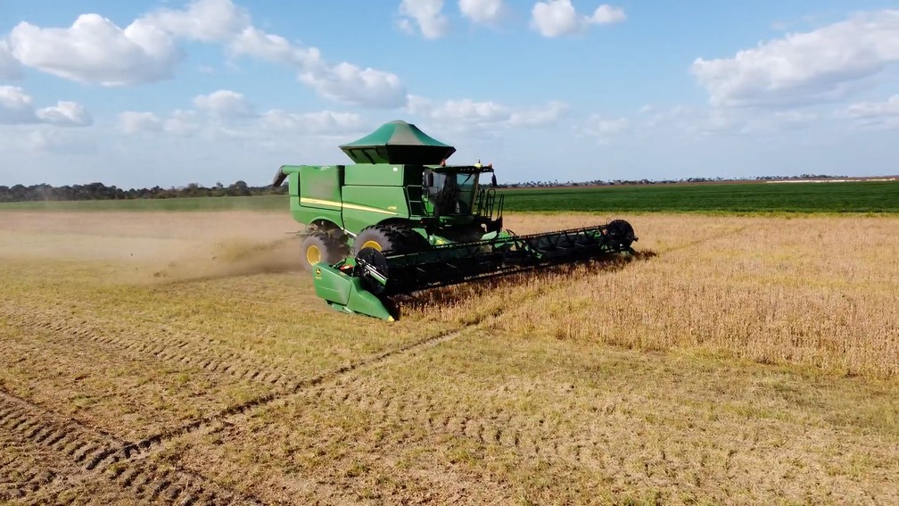 Colheita no campo com maquinário agrícola