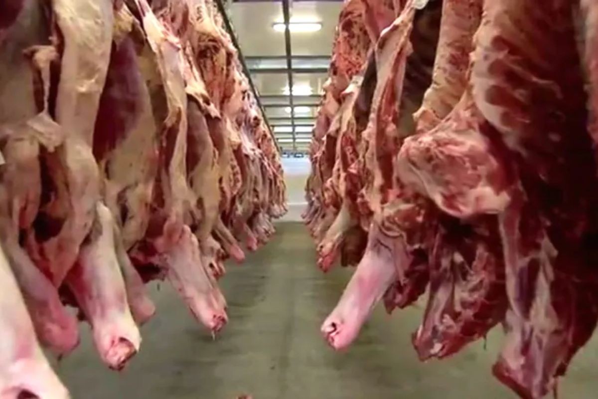 Empregos não estão em risco após suspensão da produção de carne destinada aos EUA, diz sindicato