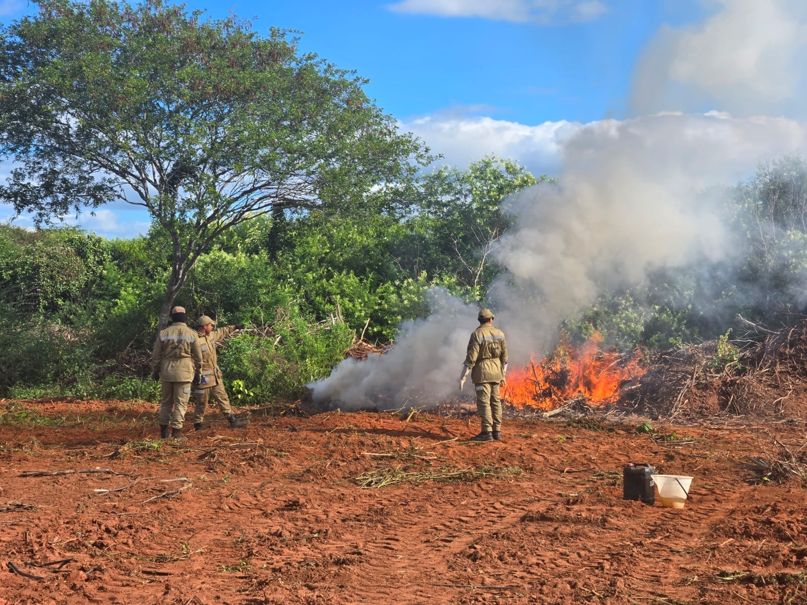Fazenda da maconha: dois suspeitos de envolvimento na logística da plantação são presos no Ceará