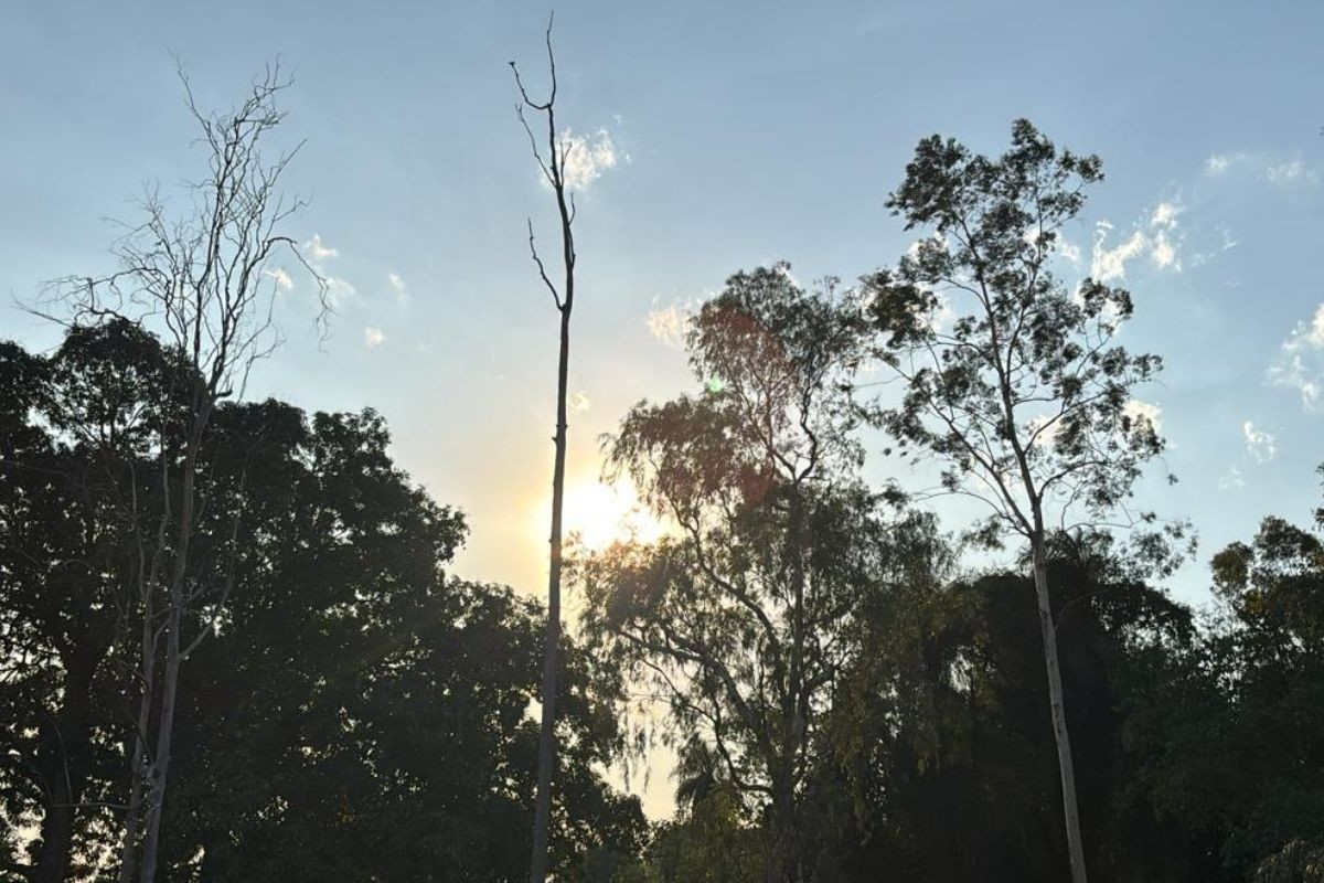 Alerta de tempestade em Campo Grande prevê chuva forte, raios e possibilidade de granizo