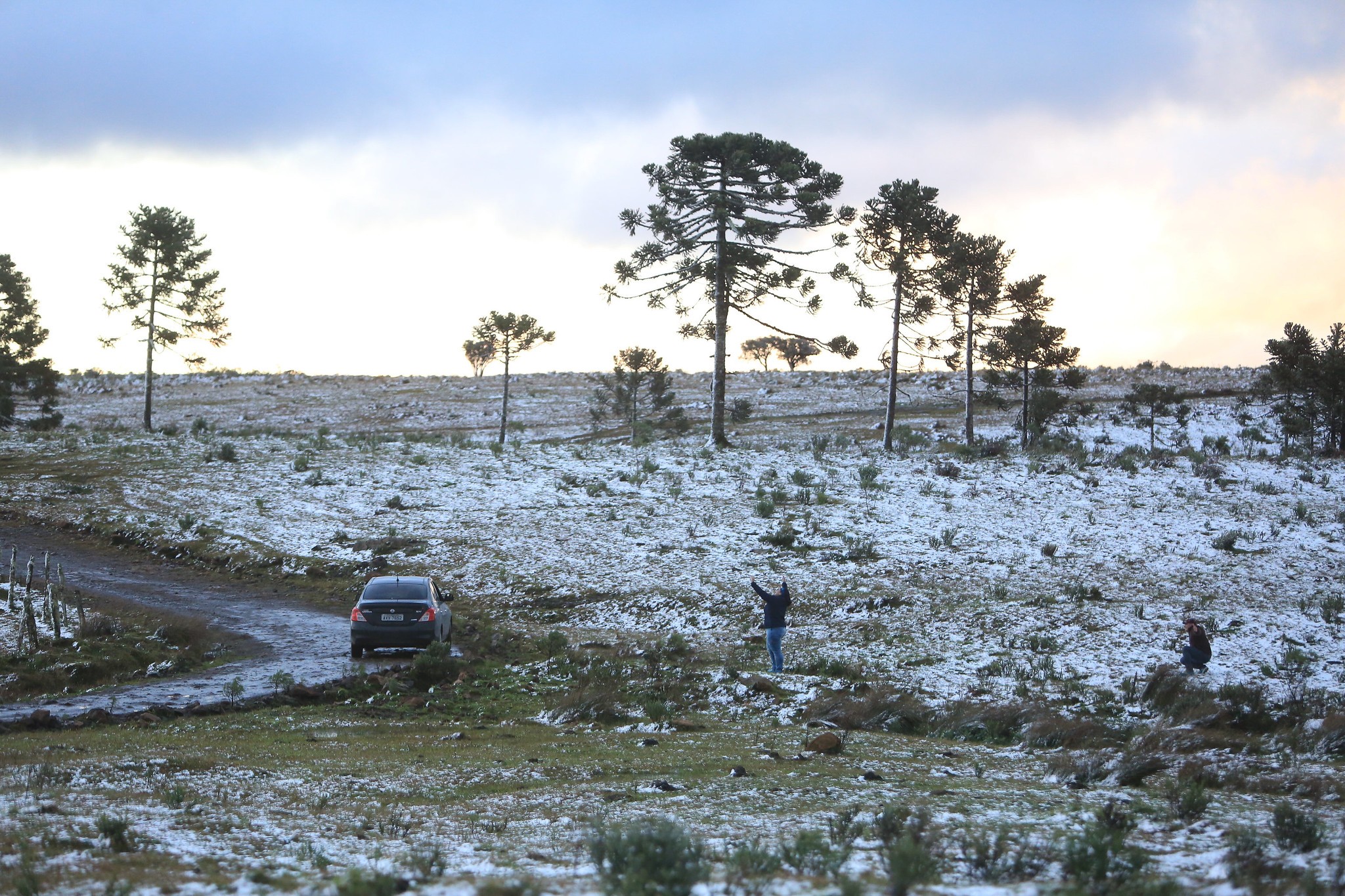 Neve ou chuva congelada? O que diz a previsão para o começo da onda de frio em SC 