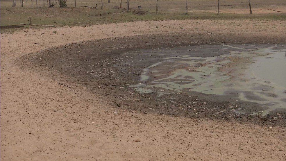 Área atingida pelo fogo em Aquidauana — Foto: TV Morena