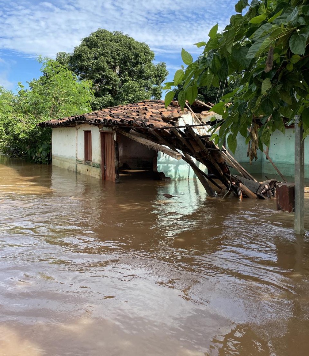 Oito casas foram alagadas — Foto: Defesa Civil/Divulgação