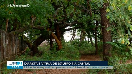 Diarista esfaqueada e estuprada em Palmas está em estado grave; saiba mais