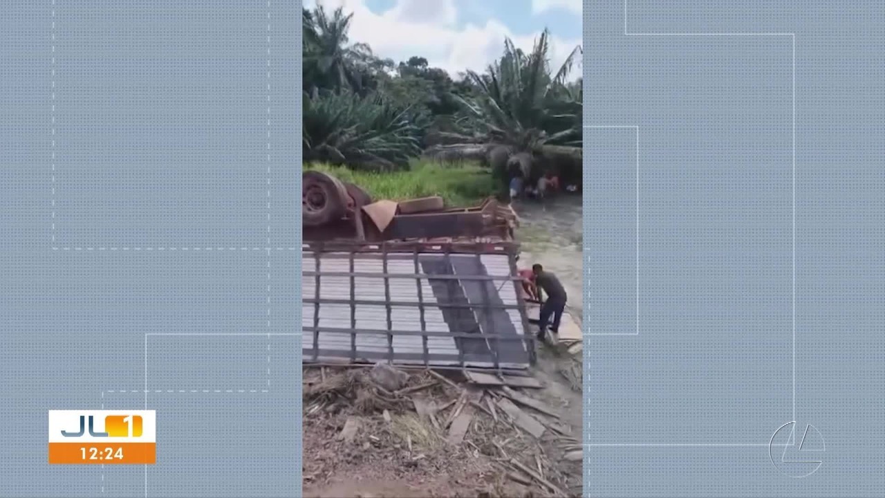 Carreta com bois tomba na PA-150 em Moju e deixa animais mortos