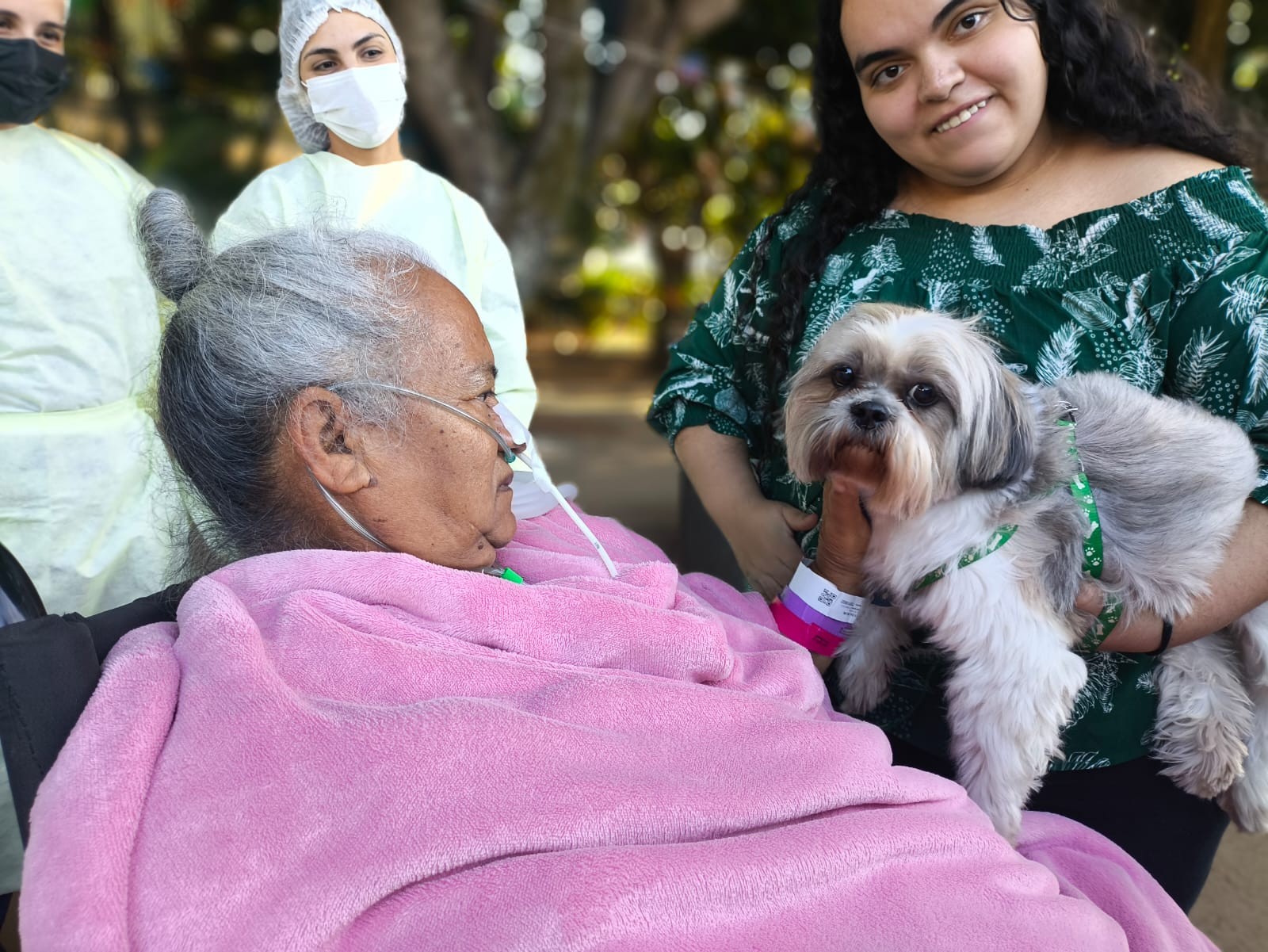 Paciente de 71 anos recebe visita do cãozinho de estimação em hospital público do DF; veja vídeo