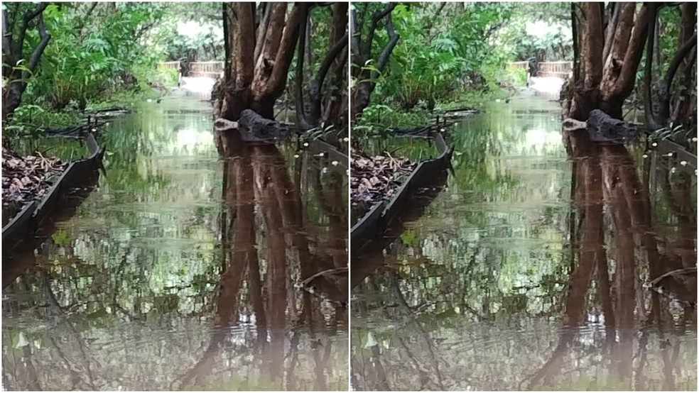 Imagem mostra parte da trilha completamente alagada — Foto: Reprodução/Sema
