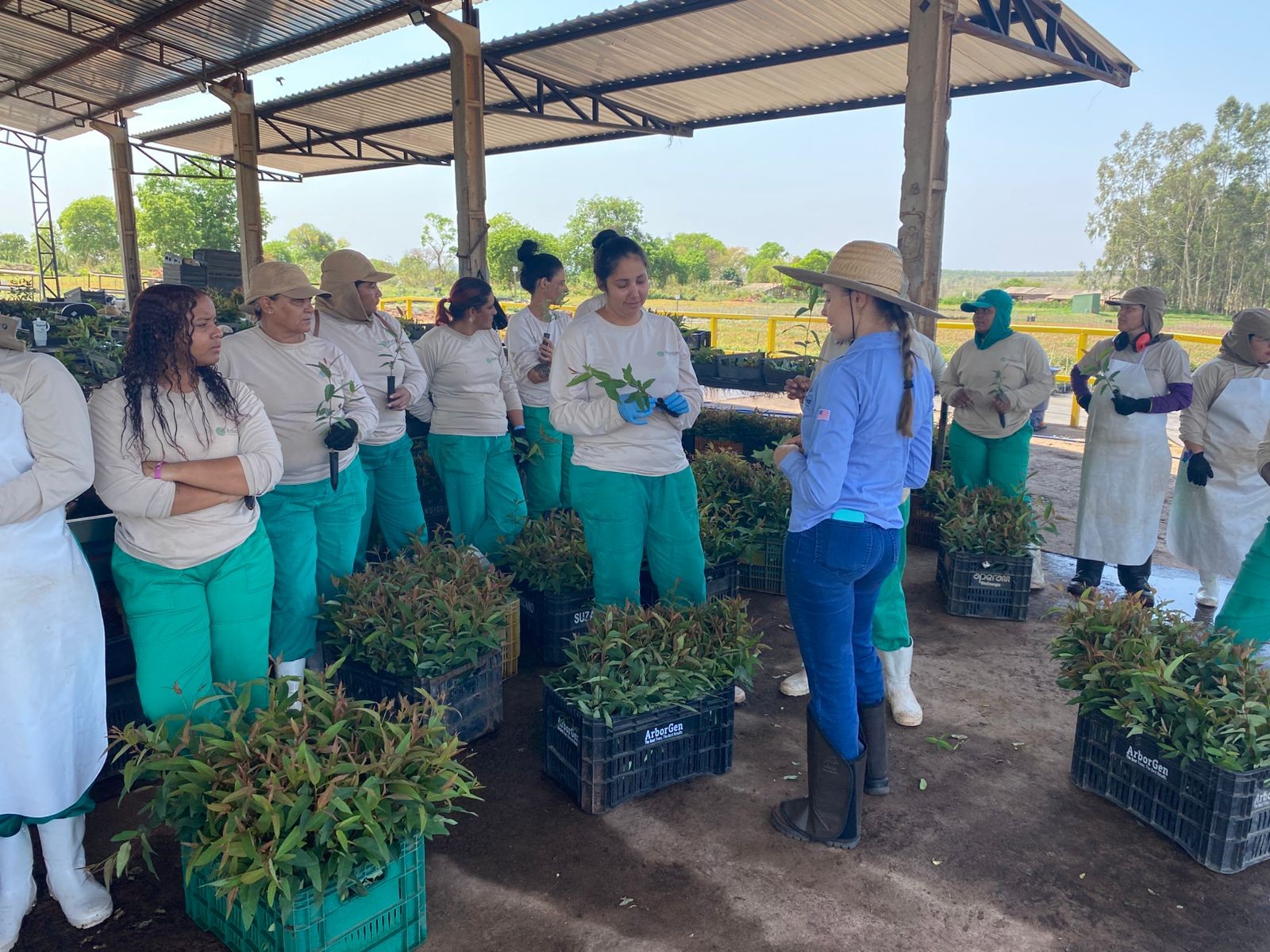 Do preconceito à valorização: mulheres encontram novas oportunidades no setor florestal de MS