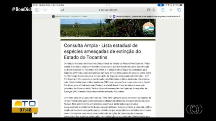 Tocantinenses podem contribuir com a identificação de espécies em extinção; veja como