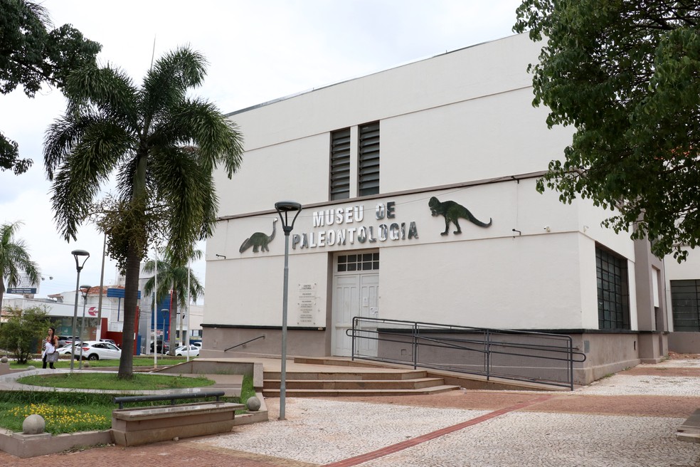 Museu de Paleontologia de Marília passou por uma reformulação geral — Foto: Lígia Ferreira/Prefeitura de Marília