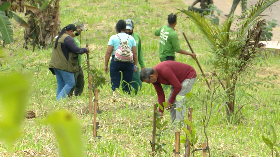 Iniciativa aconteceu em comemoração ao Dia Mundial da Água, próxima ao Igarapé Fidêncio — Foto: Rede Amazônica Acre