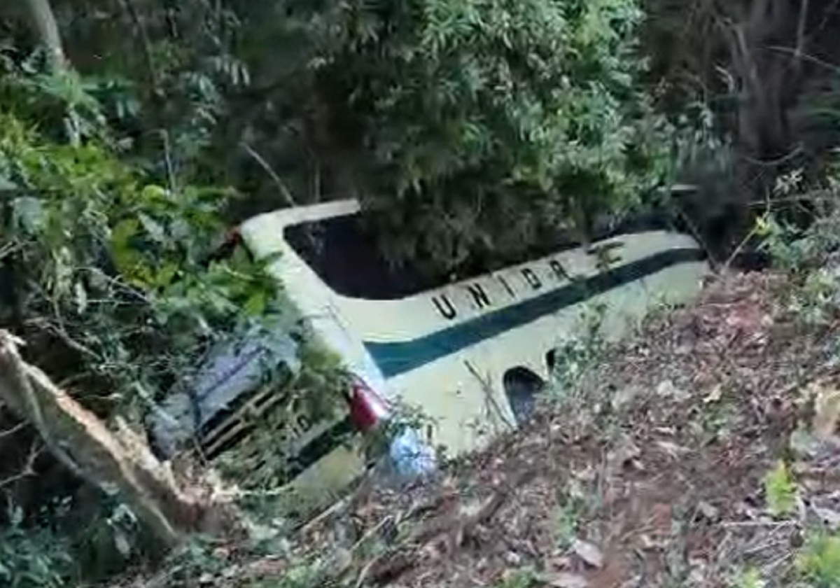 Bus from Juiz de Fora falls into a cliff on BR-040, in Serra de Petrópolis