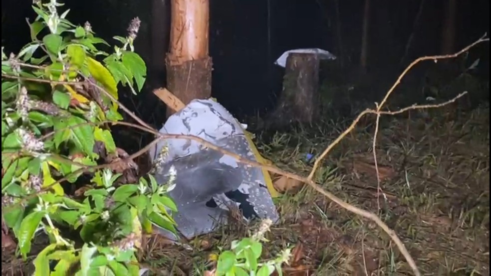Destroços de avião de pequeno porte que caiu em Santa Branca, SP — Foto: Reprodução/TV Vanguarda