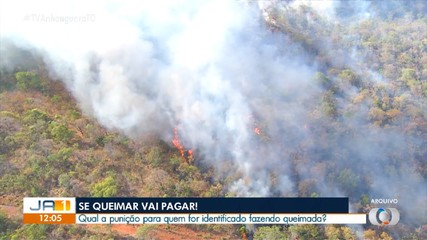 Saiba a punição para quem faz queimadas