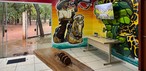 Centro de Educação Ambiental Terra da Onça-Pintada é inaugurado em MT