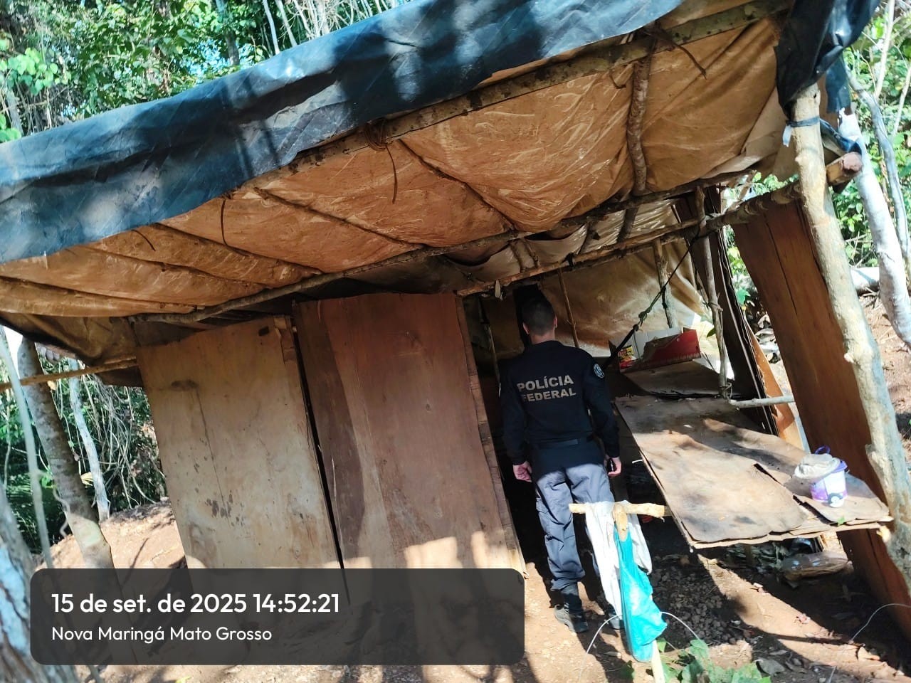 Grupo em trabalho análogo à escravidão é resgatado em área isolada de MT — Foto: MTE