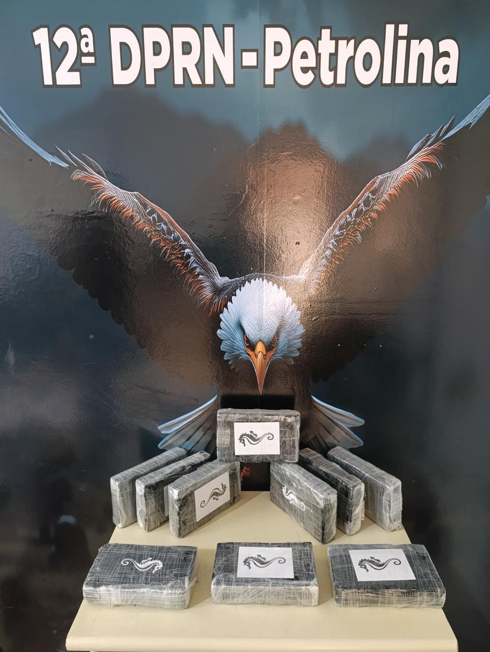 Mulher é presa transportando mais de 10 kg de cocaína no Terminal Rodoviário de Petrolina