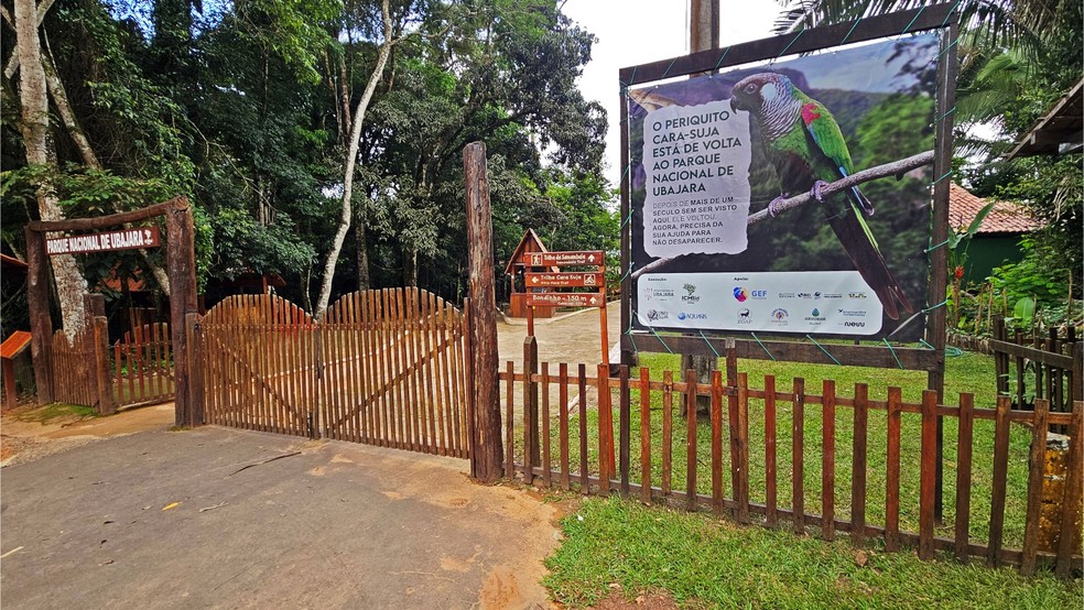 Parque Nacional de Ubajara — Foto: Fábio Nunes