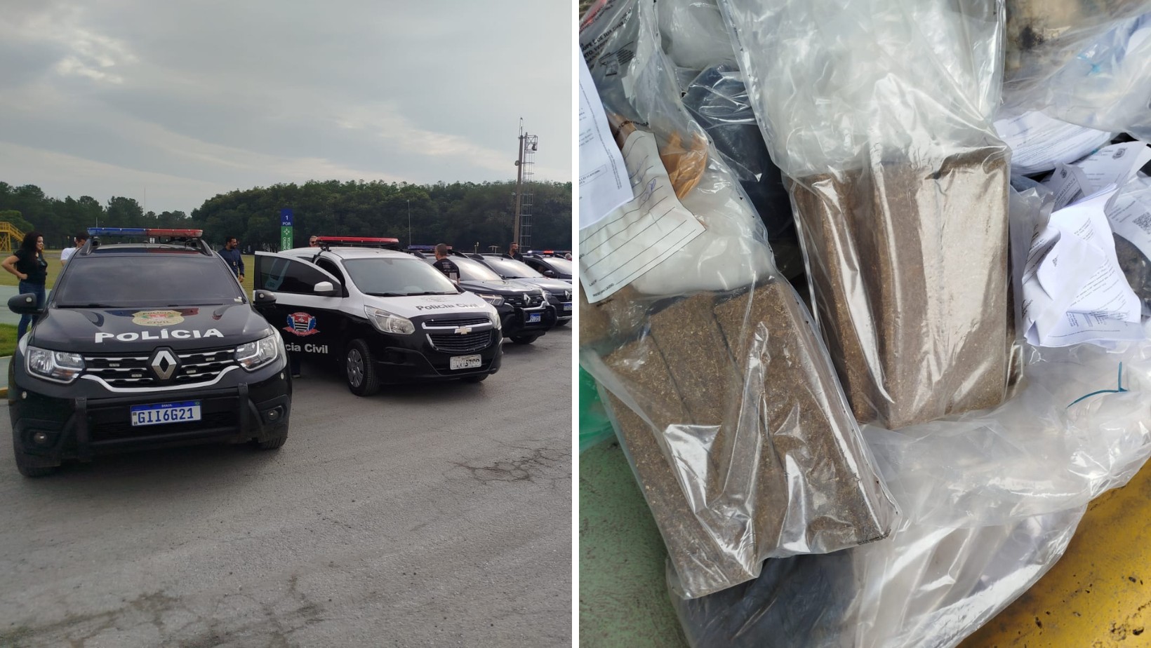 Polícia Civil incinera cerca de 600 quilos de drogas em Pindamonhangaba