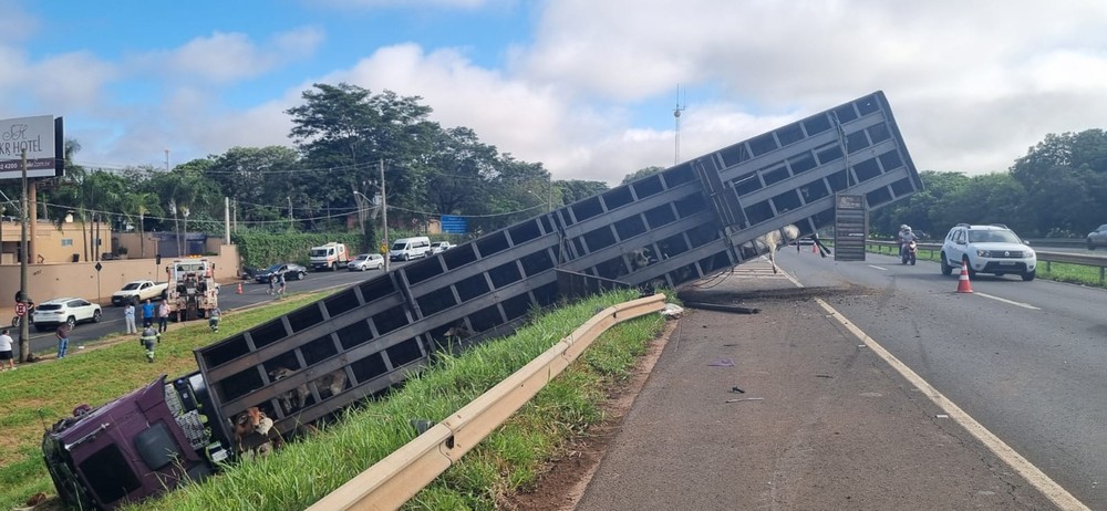 Caminhão é atingido por carro, tomba em ribanceira às margens de rodovia e bezerros ficam presos à carroceria