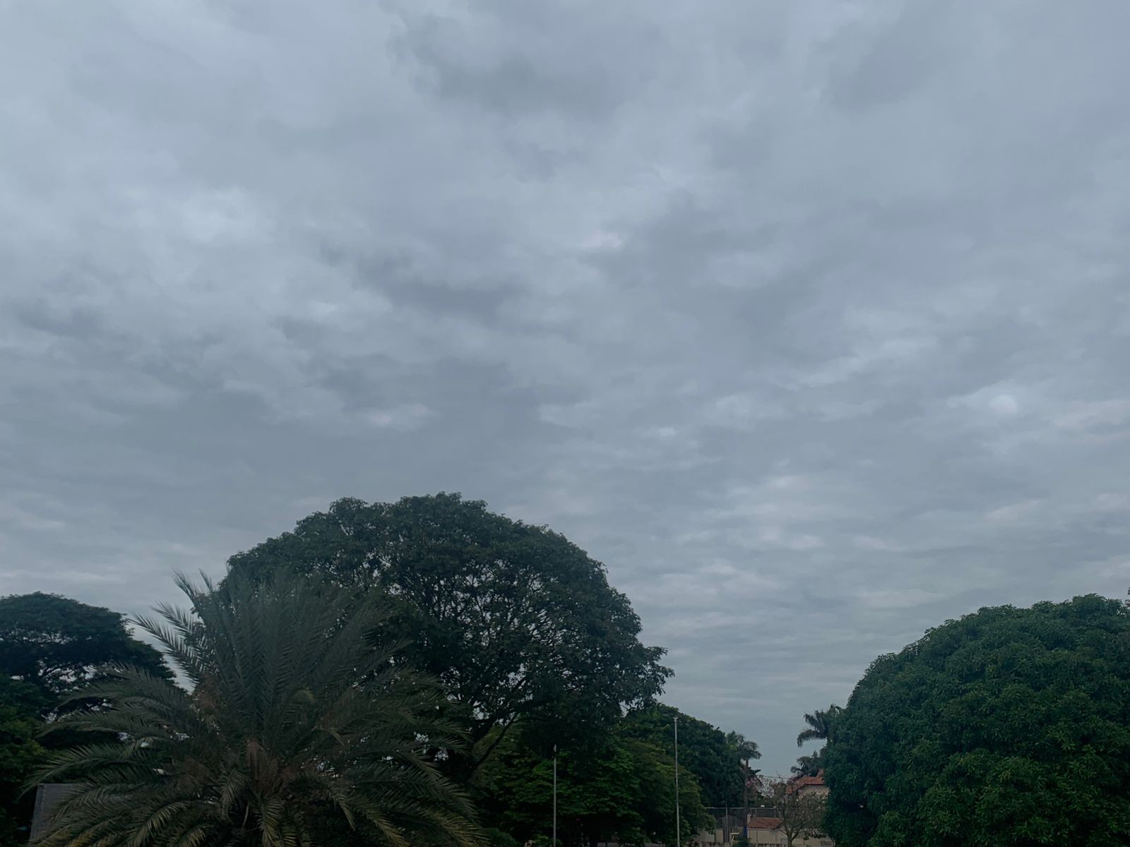 MS tem baixa temperatura e sem previsão de chuva; confira o tempo durante esta quarta-feira (15)