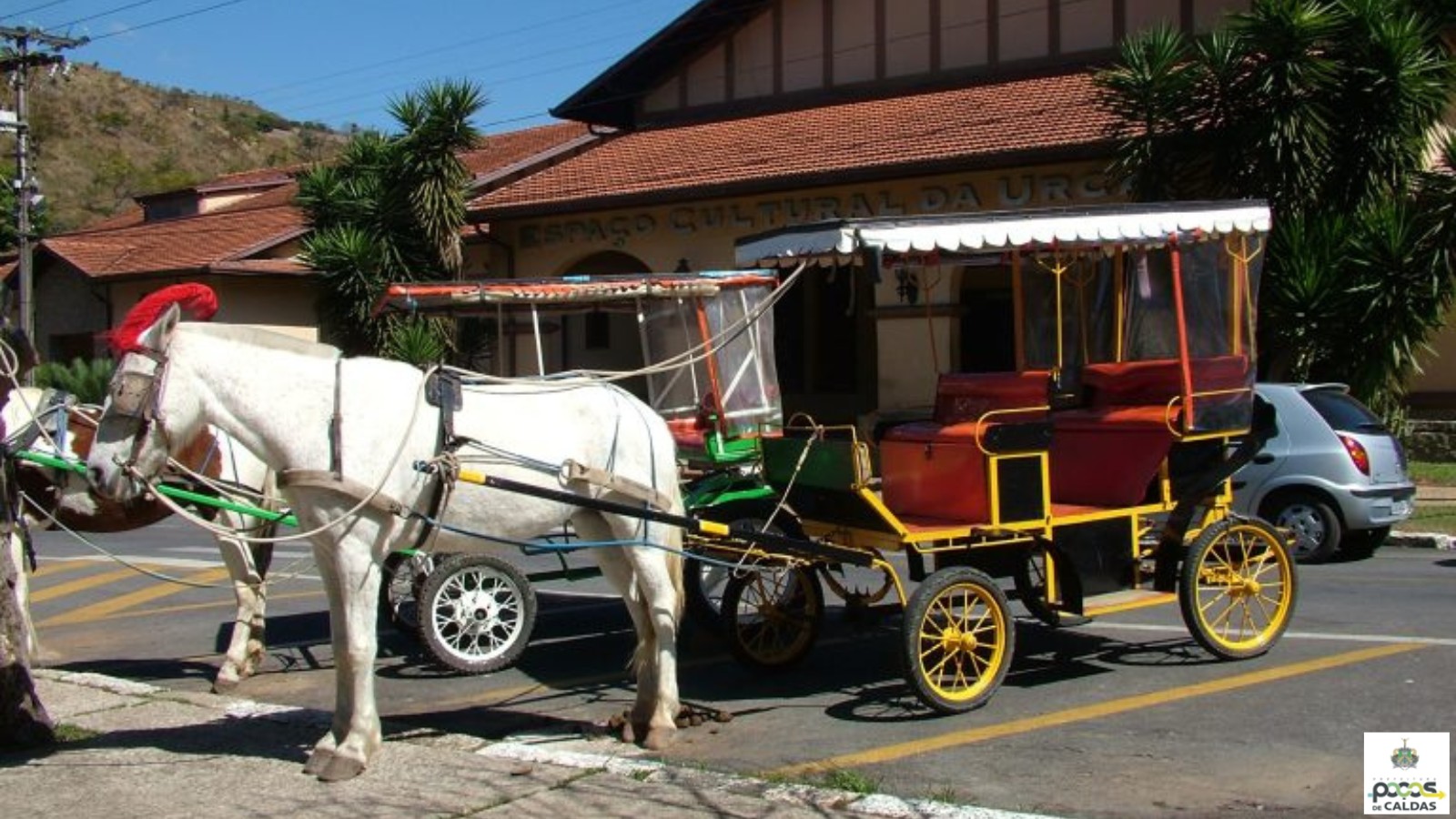 Poços de Caldas propõe substituir charretes por carruagens elétricas