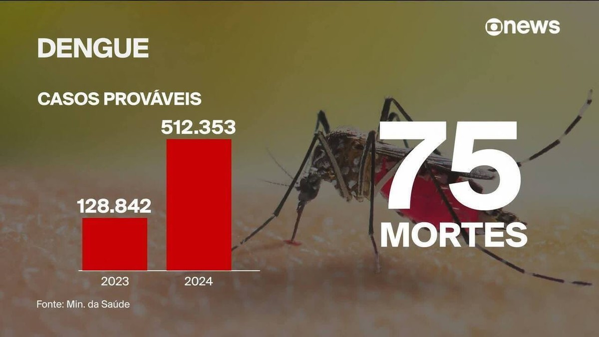 Dengue: Brasil registra mais de 500 mil casos em 2024; veja mapa com ranking dos estados