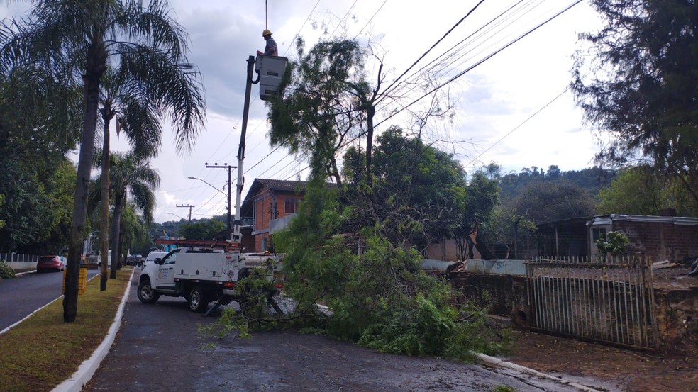 Queda de árvores e poste foram registradas nesta quarta-feira (7) — Foto: Prefeitura de Águas de Chapecó/Divulgação