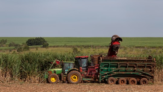 Cinco empresas da região estão entre as 100 maiores do agronegócio do Brasil - Foto: (Companhia Mineira de Açúcar e Álcool/Divulgação)