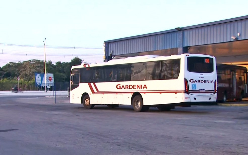 Lista de dívidas da Gardenia deve ser divulgada; ex-funcionários continuam sem pagamento — Foto: Reprodução EPTV