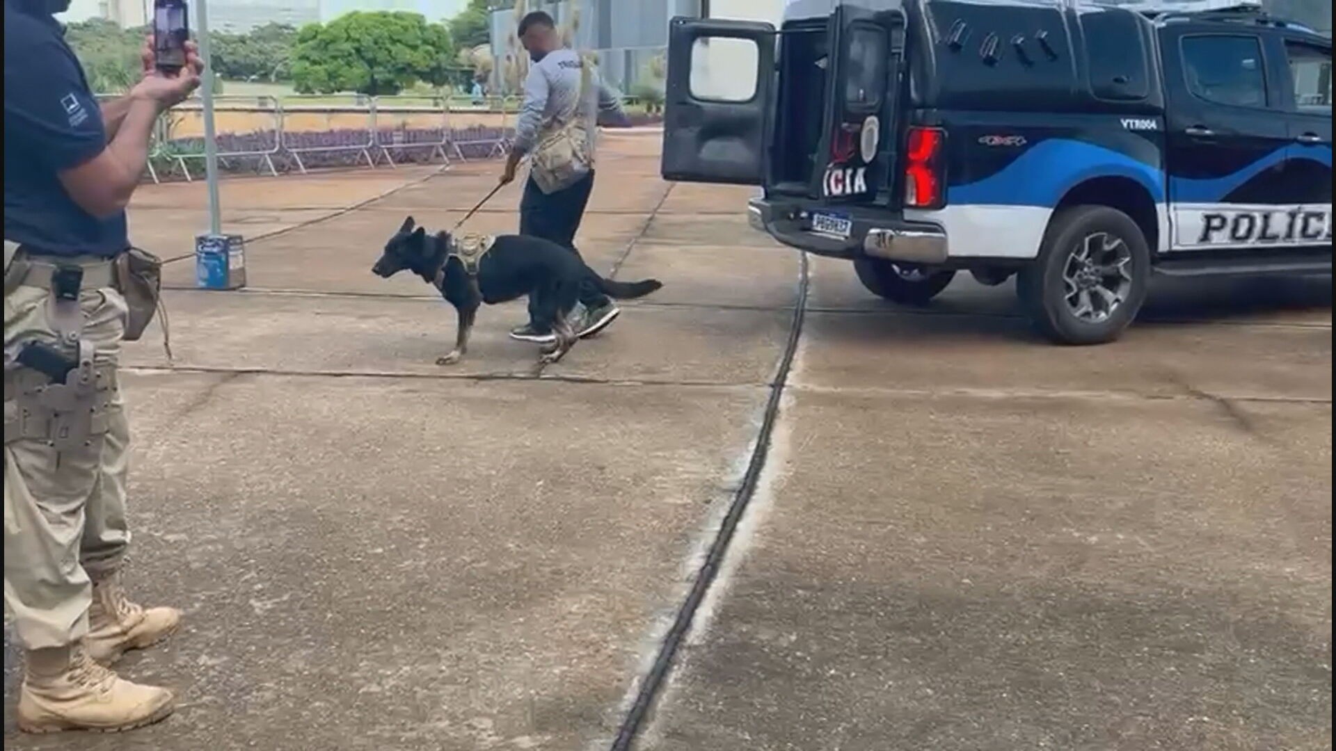 Denúncia do golpe: cães farejadores reforçam segurança para julgamento de Bolsonaro e aliados no STF