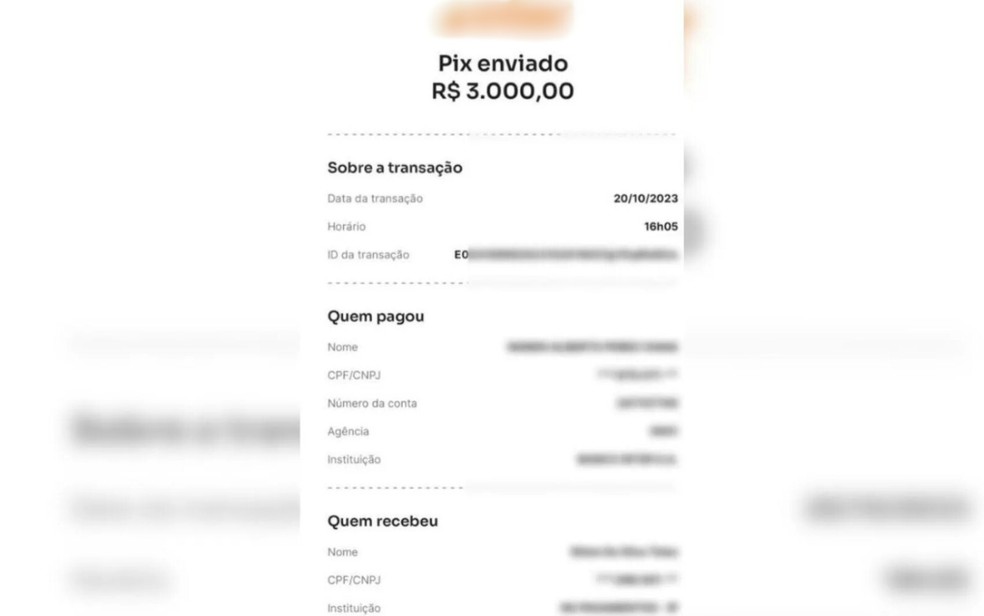 Foram mais de 100 transferências bancárias que juntas somam mais de 80 mil reais — Foto: Divulgação/Polícia Civil