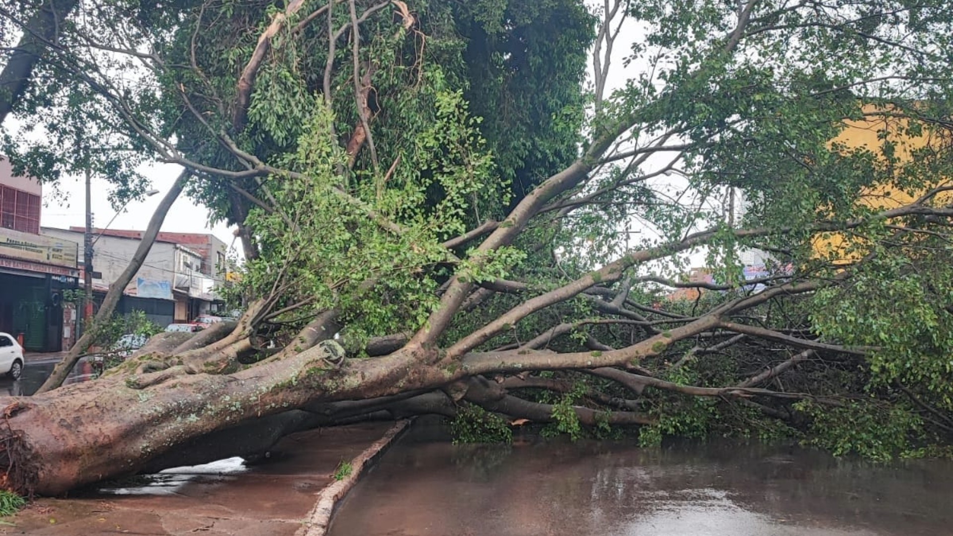 Ruas alagadas, carro engolido por buraco e moto levada por enxurrada; veja VÍDEOS dos estragos causados por forte chuva no DF