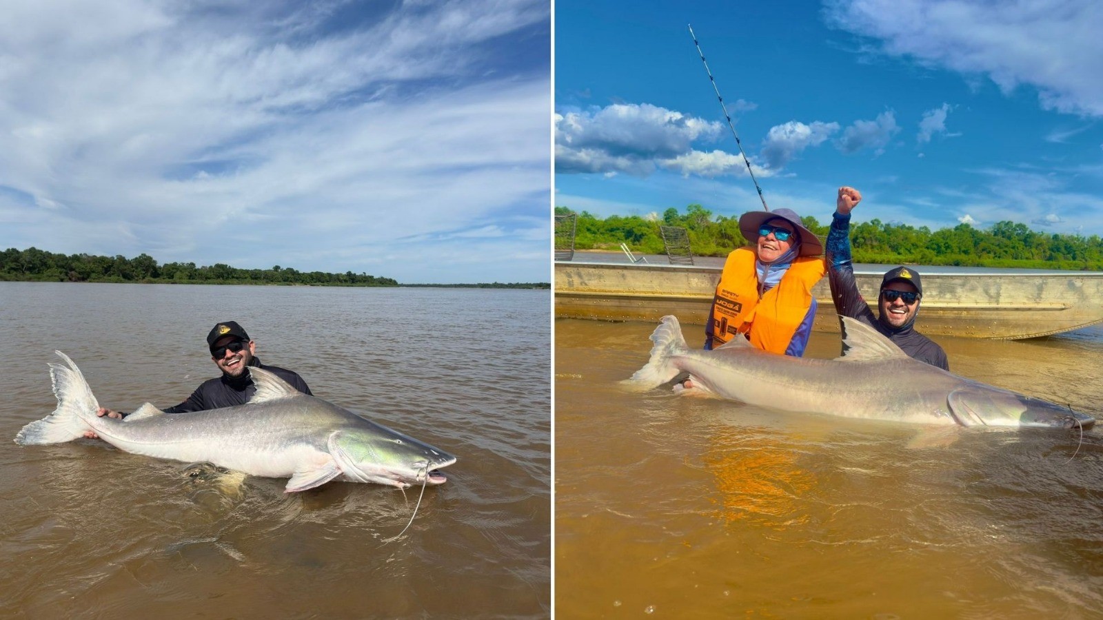 Pescador pesca dois peixes gigantes e que não podem ser consumidos em intervalo de duas horas; vídeo