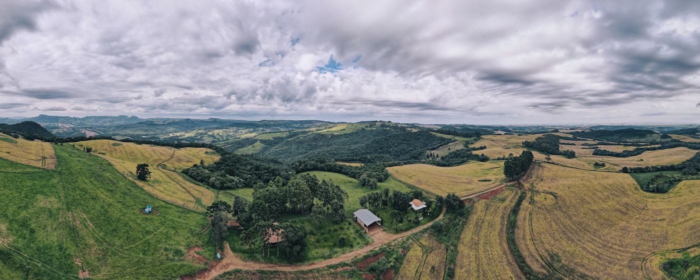 Construtora de Londrina preserva floresta de mata nativa no Paraná
