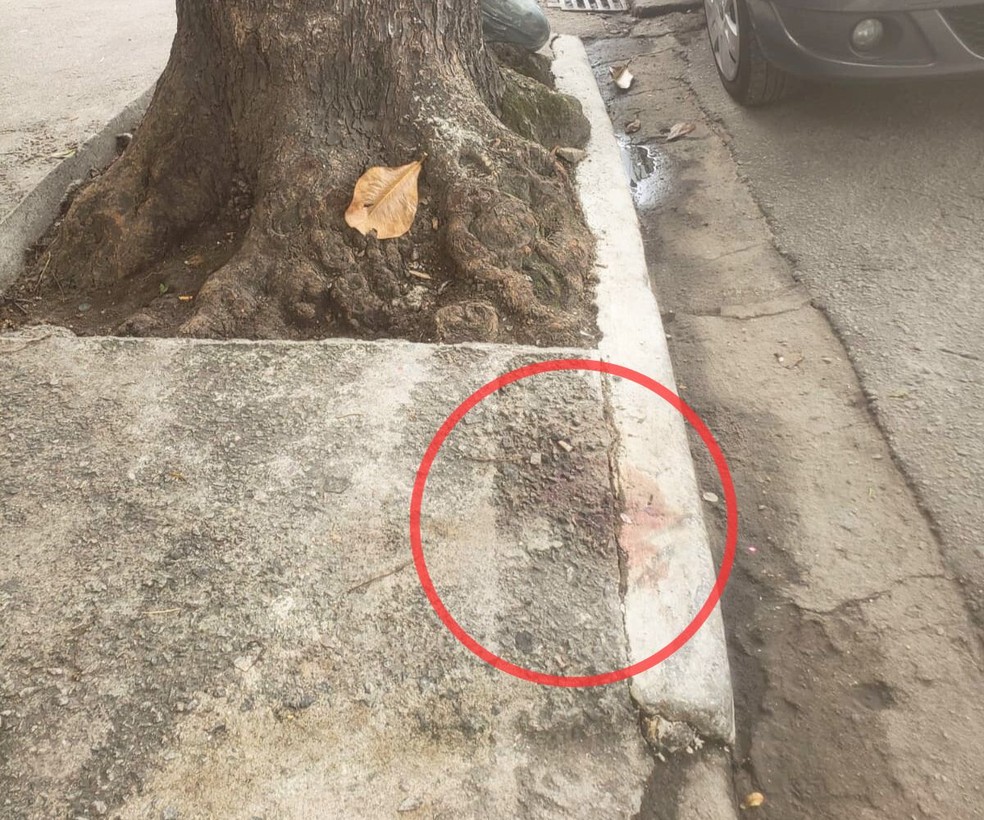 Sangue de idosa ficou 'manchado' na calçada onde o crime aconteceu — Foto: Arquivo Pessoal