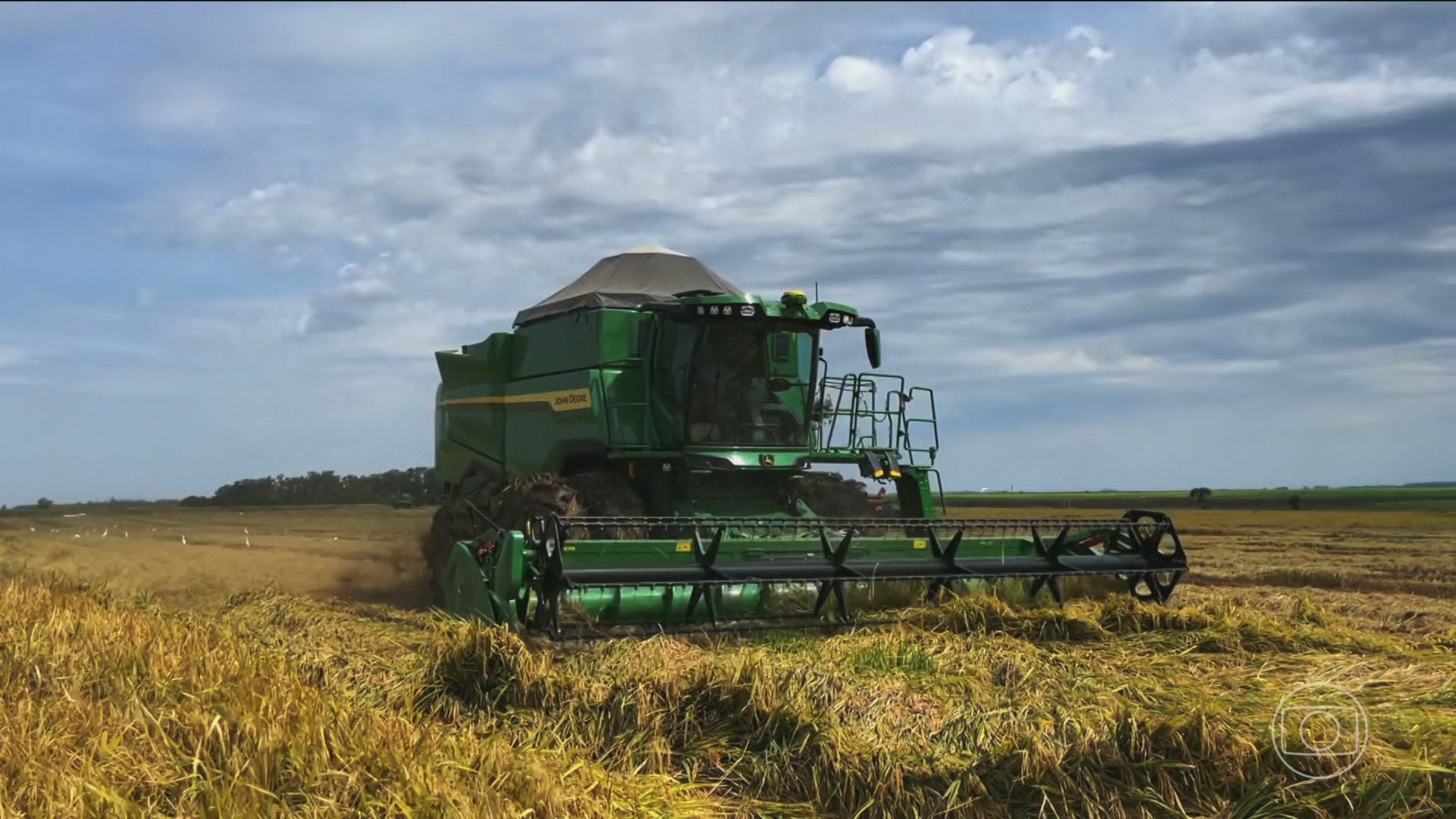 Entenda: Faturamento das 10 maiores empresas do agro cresce 11% e chega a R$ 1,24 trilhão; veja ranking