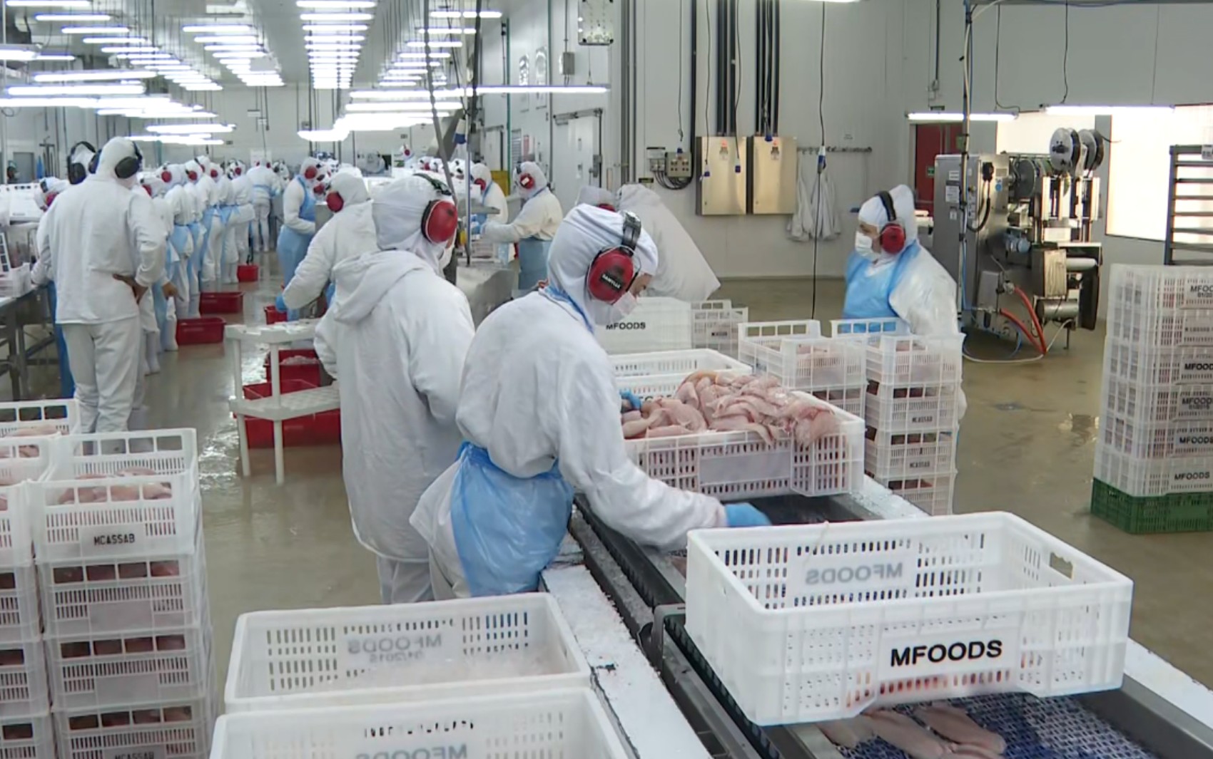 Tarifaço de Trump suspende exportações de pescados em Rifaina, SP; empresa prevê prejuízos na região: 'Balde de água fria'