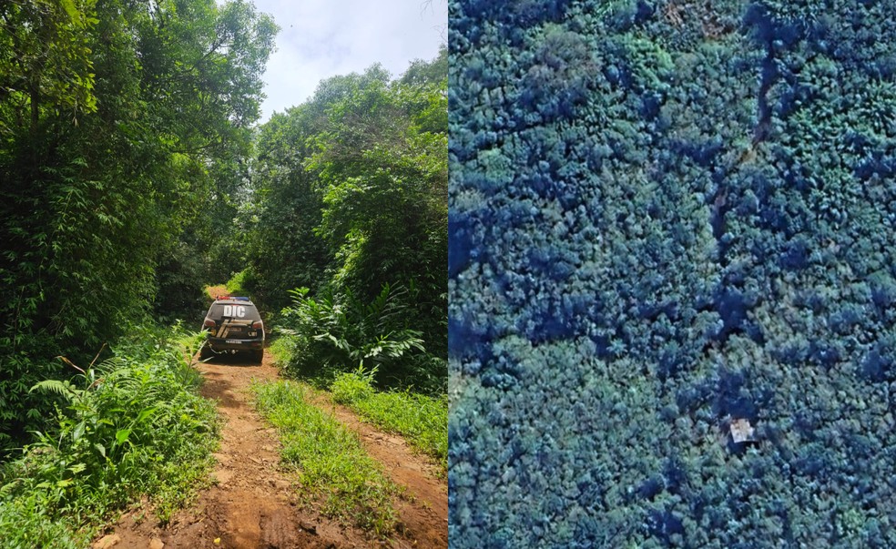 Corpo foi encontrado em uma área de mata em Caraá (RS) — Foto: Polícia Civil/ Divulgação