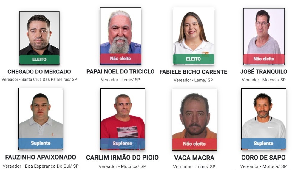 Papai Noel do Triciclo, José Tranquilo, Coro de Sapo e Vaca Magra: veja nomes curiosos de candidatos da região