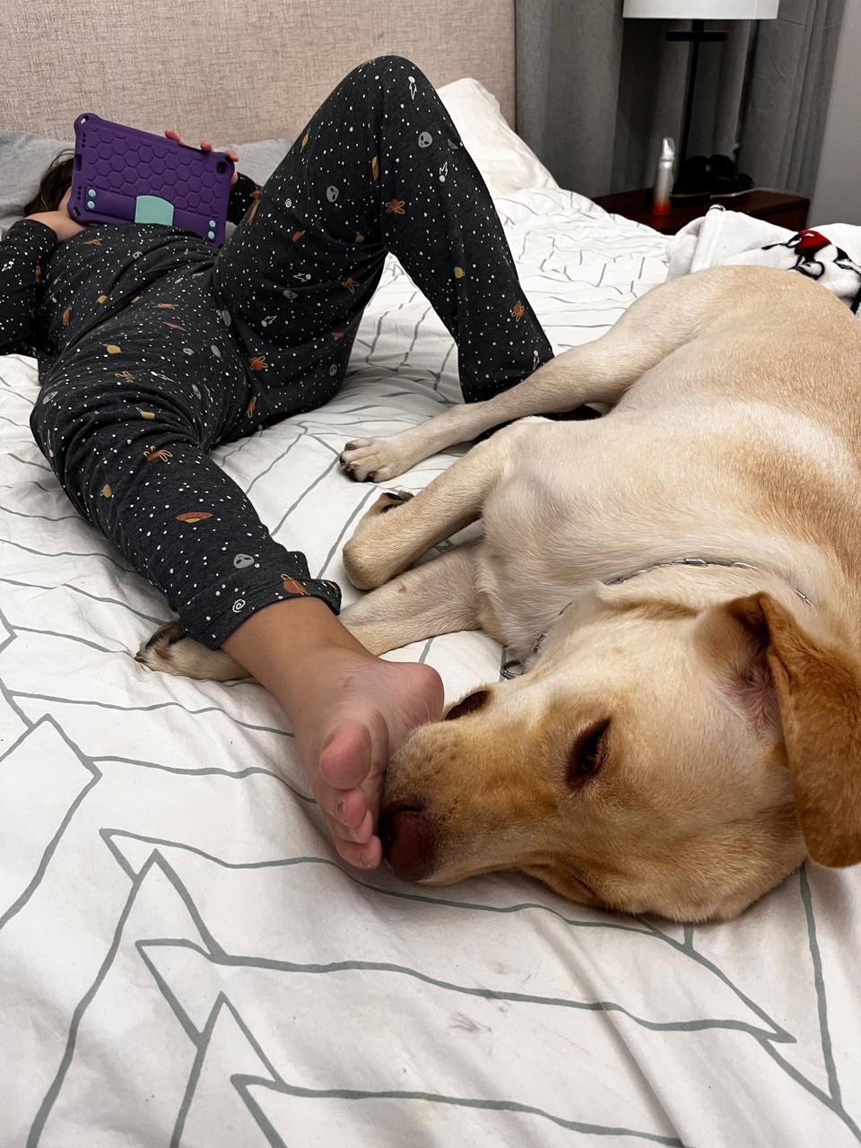 'Ela estava na expectativa da chegada dele e teve outra crise', diz pai de criança autista que espera embarque de cão para Portugal