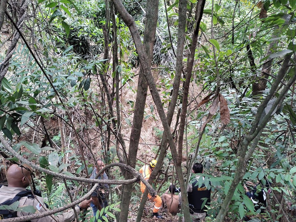 Homem sobrevive quatro dias comendo mangas até ser resgatado de buraco de 50 metros em MG