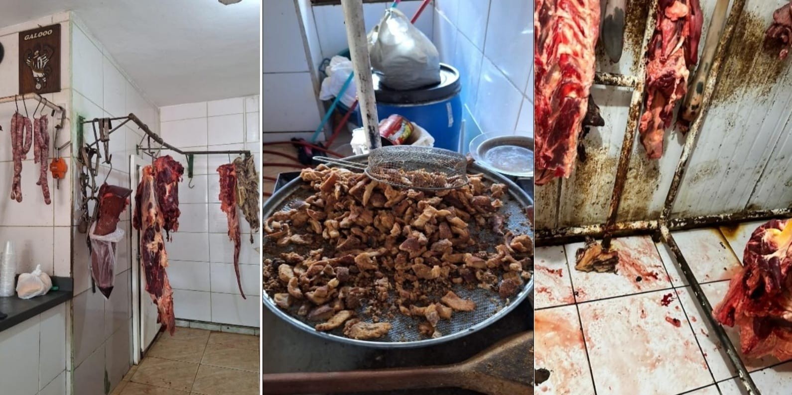 Açougueiros são indiciados após fiscalização encontrar carnes com larvas e em estado de decomposição em MG