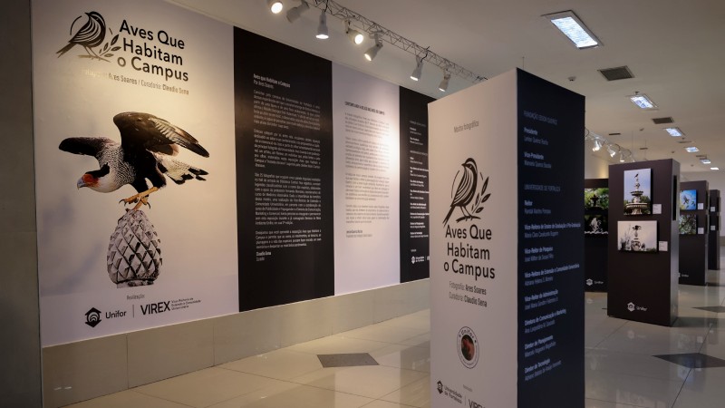 Unifor leva exposição “Aves que Habitam o Campus” ao MPCE